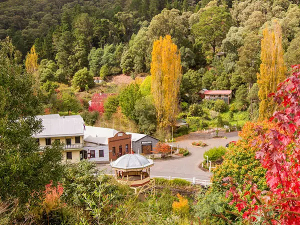 Korumburra Tourist Park