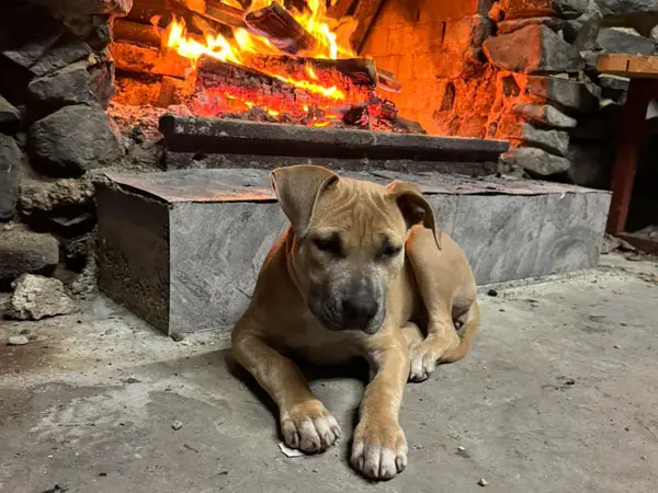 Korumburra Tourist Park